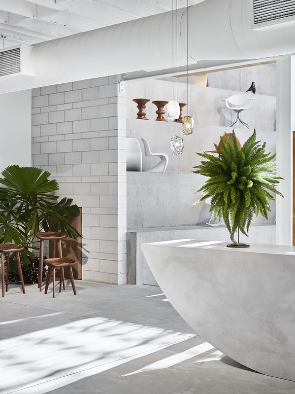 Project Living Edge Furniture Showroom